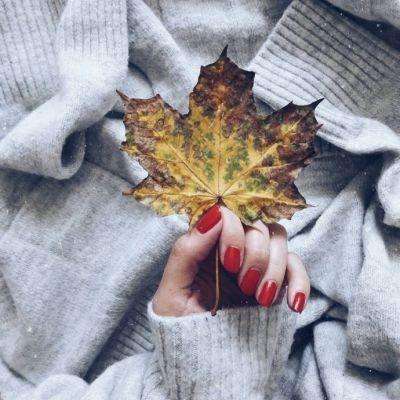 IM体育官方网站