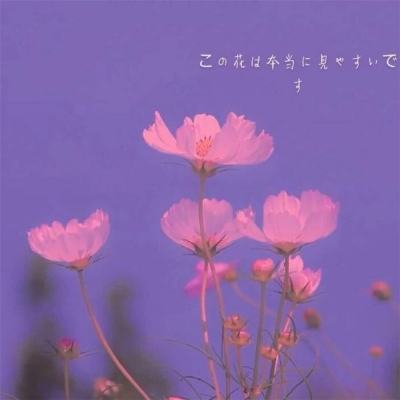 足球北单官方网站