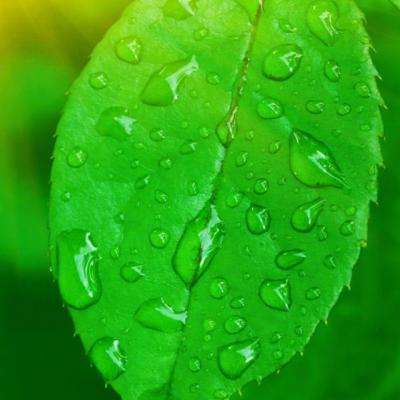 银河棋牌app下载